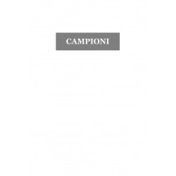 *MONOD. +FONDOTINTA MAT B40