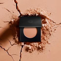 MAQUIL BLUSH 20 BRUN ESSENTIEL