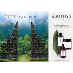 FLY INDONESIE INGL
